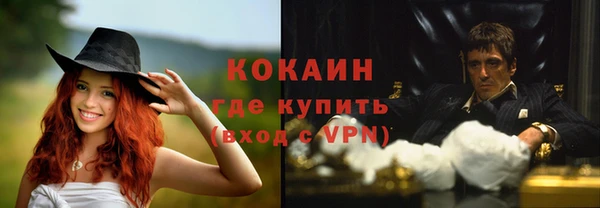 МДПВ Елизово