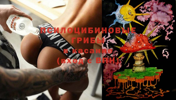 МДПВ Елизово