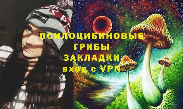 МДПВ Елизово