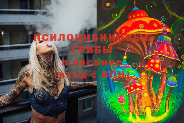 мяу мяу мука Ельня