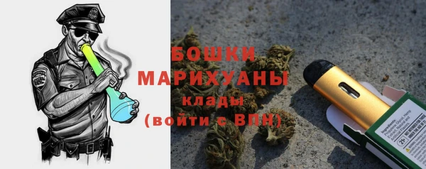МДПВ Елизово