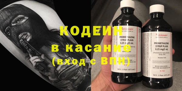 ГАЛЛЮЦИНОГЕННЫЕ ГРИБЫ Елабуга