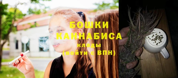 ГАЛЛЮЦИНОГЕННЫЕ ГРИБЫ Елабуга