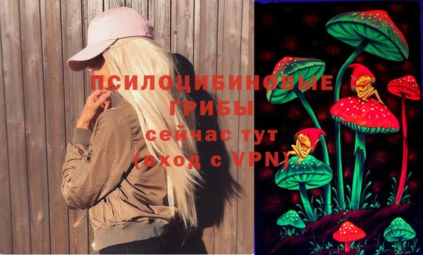 МДПВ Елизово