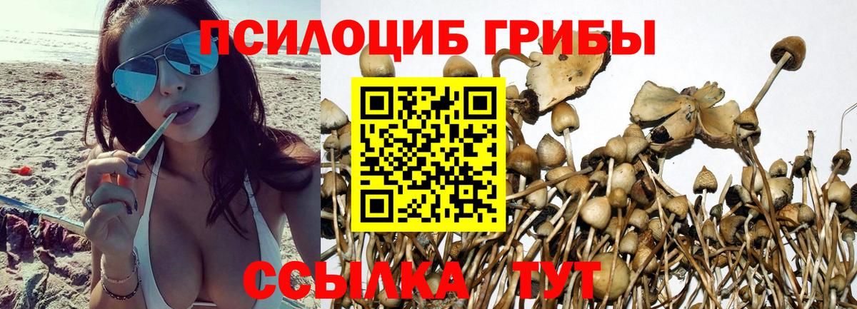Галлюциногенные грибы ЛСД  Вход с VPN  Заинск  Псилоцибиновые грибы Magic Shrooms 