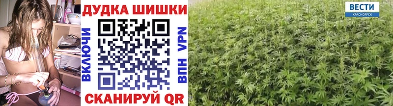 Шишки марихуана семена  Заинск 