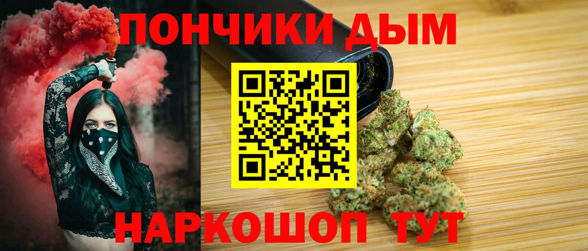 Каннабис ГИДРОПОН  Конопля индика  Заинск  Вход с VPN 